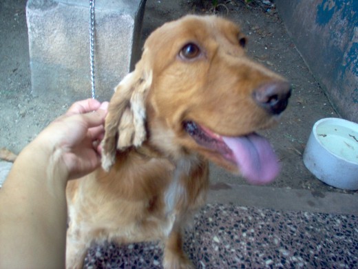 Acá Sofia cuando se estaba cortando el pelo!!! Acá Sofia cuando se estaba cortando el pelo!!!
